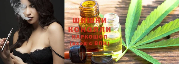 ГАЛЛЮЦИНОГЕННЫЕ ГРИБЫ Навашино