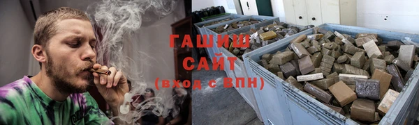 гидра Надым