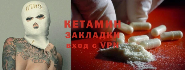 гидра Надым