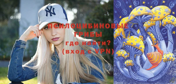 ГАЛЛЮЦИНОГЕННЫЕ ГРИБЫ Навашино