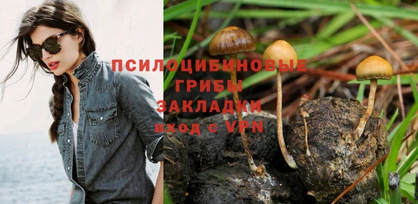 молекула духа Наволоки