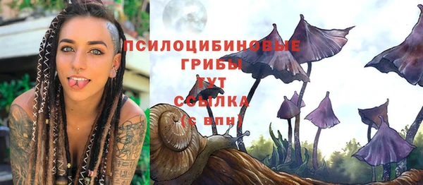 амф Нефтегорск