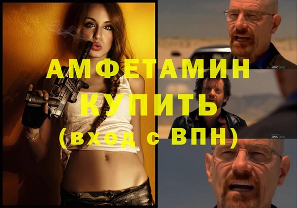 гидра Надым