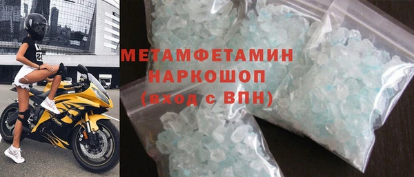 гидра Надым