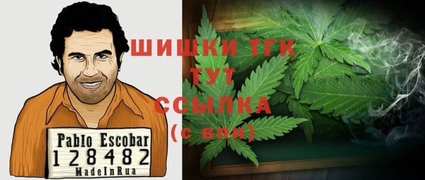гидра Надым