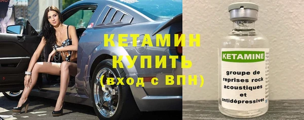 гидра Надым